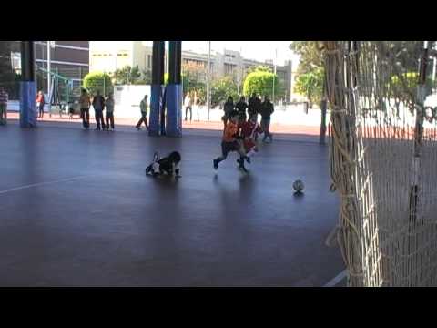 ALSACA2011 AD Tiempo Libre - UD Alchoyano 2º Tiempo Jornada 9 Temporada 2011-12