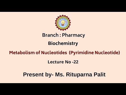 Metabolism of Nucleotides (Pyrimidine Nucleotide)