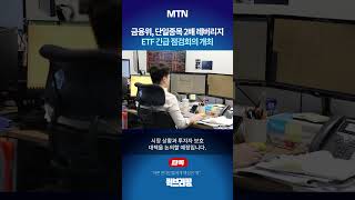 [퀵브리핑] [단독] 금융위, 단일종목 2배 레버리지 ETF 긴급 점검회의 개최