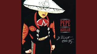 He Venido a Pedirte Perdón