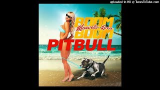 Pitbull - Muévelo Loca Boom Boom (AUDIO)