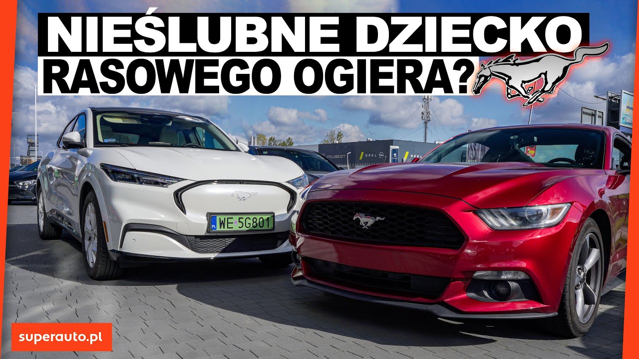 Miniaturka Wideo