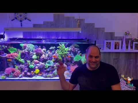 "kurz   langerklärt" Die cleaning crew advanced