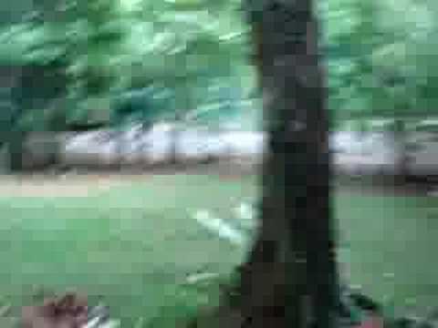 Aloha Changi Chalet M