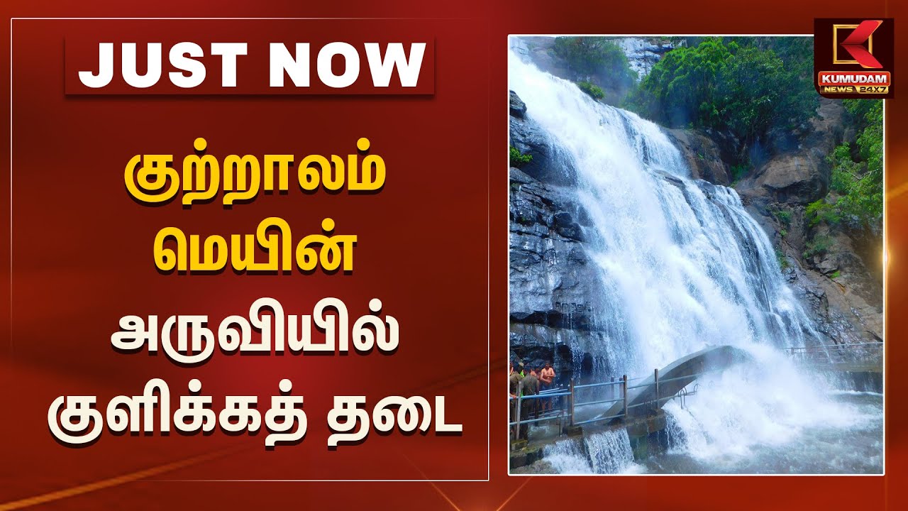 குற்றாலம் மெயின் அருவியில் குளிக்கத் தடை| Kumudam News