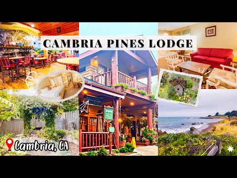Cambria Pines Lodge/large suite tour, gardens, path to Cambria village