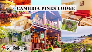 Cambria Pines Lodge/large suite tour, gardens, path to Cambria village