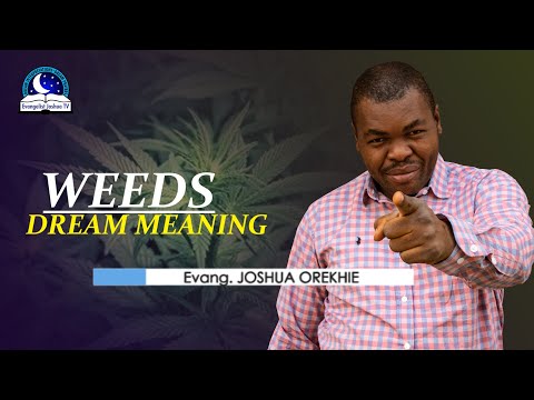 Weeds Dream Meaning - Grass Spiritual and Biblical Interpretation
