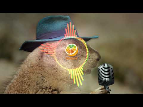 Drake ft Didou parisien x memsi - toosie ljah [ video memsi ]