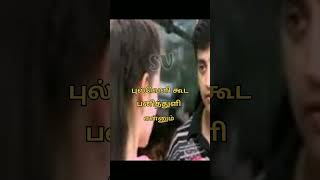 Download lagu Enakena Erkanave Piranthaval Ivalo Whatsapp Status Song mp3