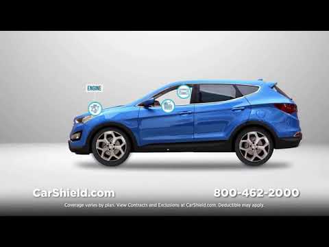 Carshield Commercial Perp 2024