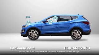 Carshield Commercial - Perp (2024)