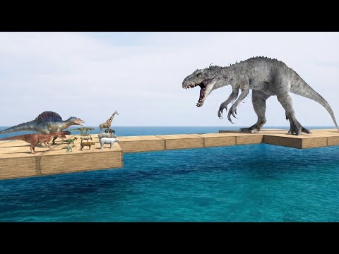 Who Will Cross This Last Bridge?