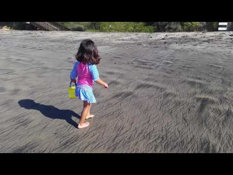 Sitara on the beach, "hi friends and family!"