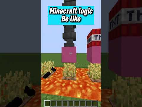 DeiiicTV - Minecraft Logic Be Like... 🤣 #shorts