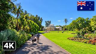 Exploring Adelaide Botanic Garden | A Hidden Oasis in the City (4K)