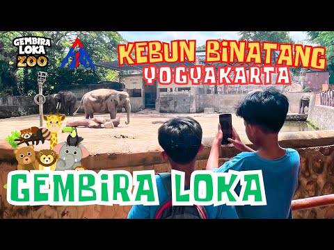 Gembira Loka Zoo‼️ Banyak Wahana Di Kebun Binatang TerBesar Jogja Sejak 1953 | Explore Yogyakarta
