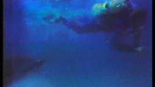 CBS Late Movie promo Mako: The Jaws of Death 1978