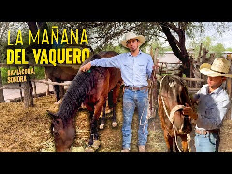 ¿Cómo es la MAÑANA de un VAQUERO en Sonora? | Mi rutina al despertar en Baviácora 🤠