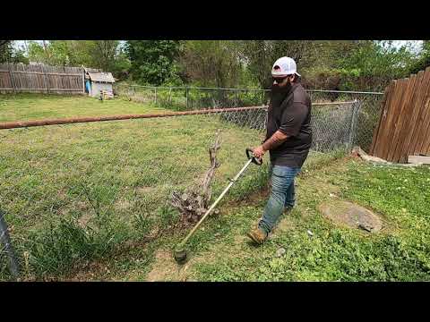 FIRST OVERGROWN LAWN OF THE SEASON.