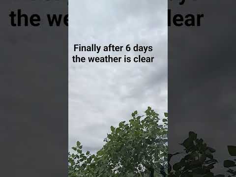 #song #love #youtubeshorts #sparklewithlavanya #viral #nature