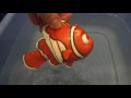 RoboFish Nemo. Finding Dory fish disney.