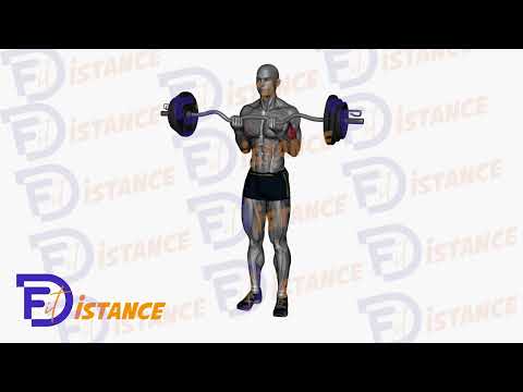 Exercice Curls à la barre EZ prise serrée