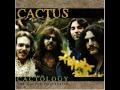 Cactus-Evil 