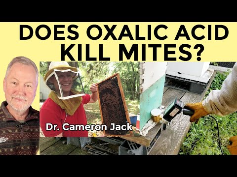 Beekeeping | Does Oxalic Acid Vap Work At Legal Dose??