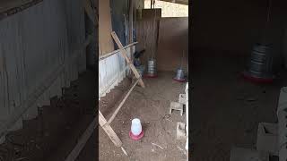 Ela encontrou o lug... #shorts