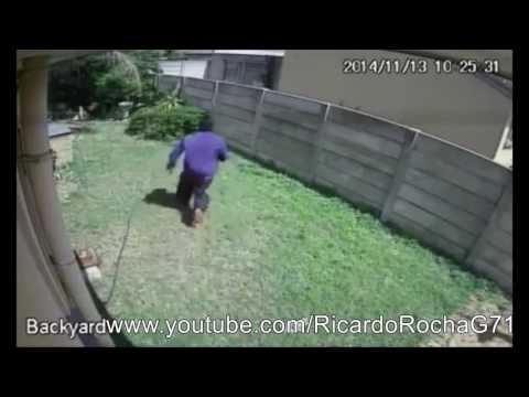 Luiz saturnino santos