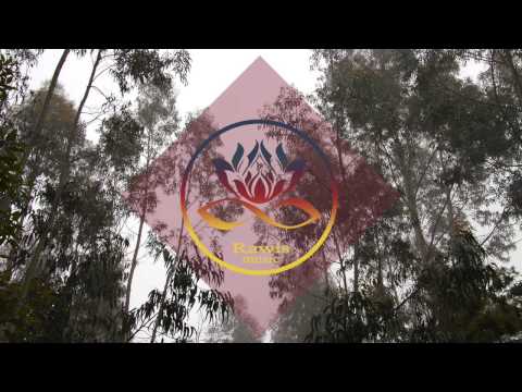 Duskid & Sam Storm - Desire (feat. Chelsea Watts)