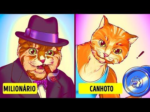 Por que gatos são tão especiais? Veja aqui!