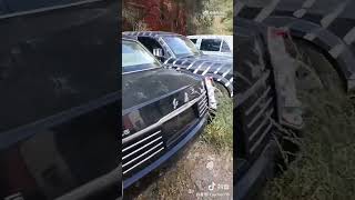 Dump of luxury cars for dignitaries found in China
