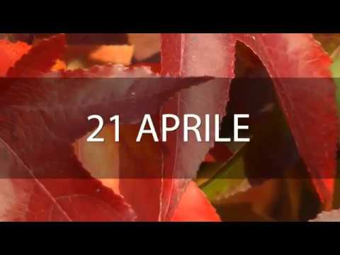 Meditazione del 21 Aprile 2018 “QUALE POSTO DAI A GESÙ?”