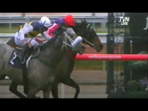 2012/2013 Season (1/8) Missile Stakes - Golden Rose Stakes