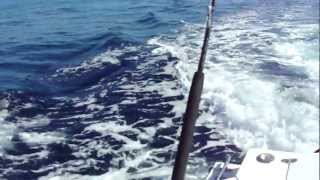 preview picture of video 'Albin 28 TE Tounament Express Fishing in Panama'