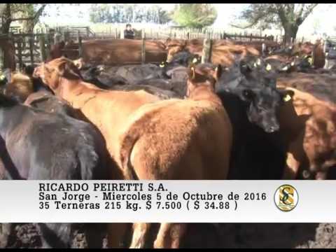 05-10-16 Venta de Hembras - Ricardo Peiretti S.A. - San Jorge.