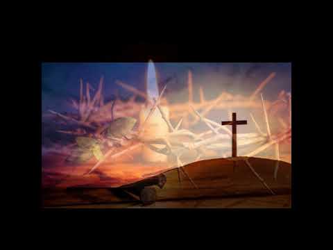 FFPM 100 MOA MBA EFA NISY VA