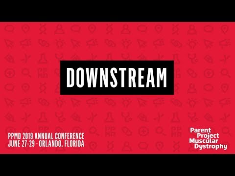 PPMD 2019 Conference - Downstream