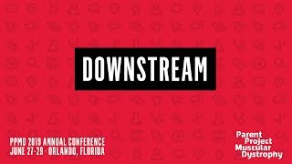 Downstream (PPMD 2019 Conference)