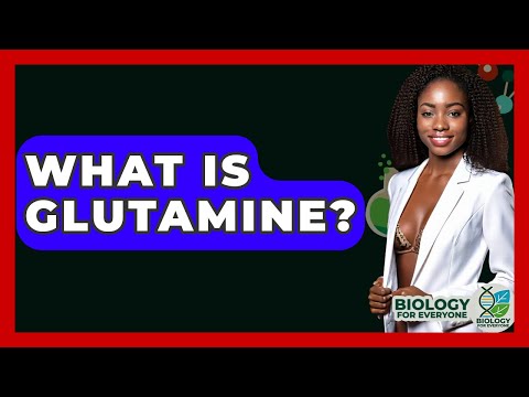 What Is Glutamine? - Biology For Everyone