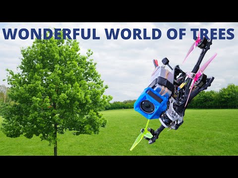 The Wonderful World Of Trees: Episode 1 || Sky High Experience || Aviation Adventure of Pilot Life