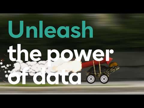 Bisnode Unleash The Power of Data