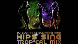 DJ SULTAN ft. ELEPHANT MAN - HIPS SING TROPICAL MIX