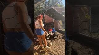 mstriggahappy gardening