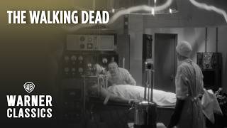 Ellman's Brought Back to Life