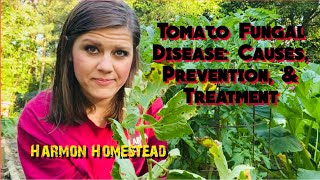 Tomato Fungal Disease: Causes, Prevention, & Treatment