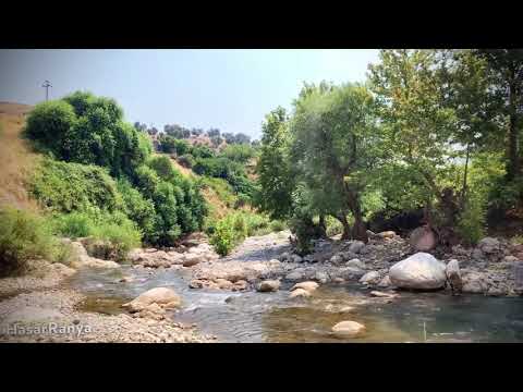 🍃𝗥𝗮𝗻𝘆𝗮🍃𝟮𝟬𝟮𝟬-𝟮𝟬𝟮𝟭🍃