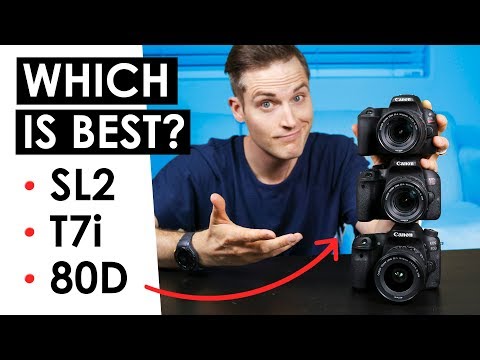 Best Canon DSLR for Video? — Canon SL2 VS. T7i VS. 80D